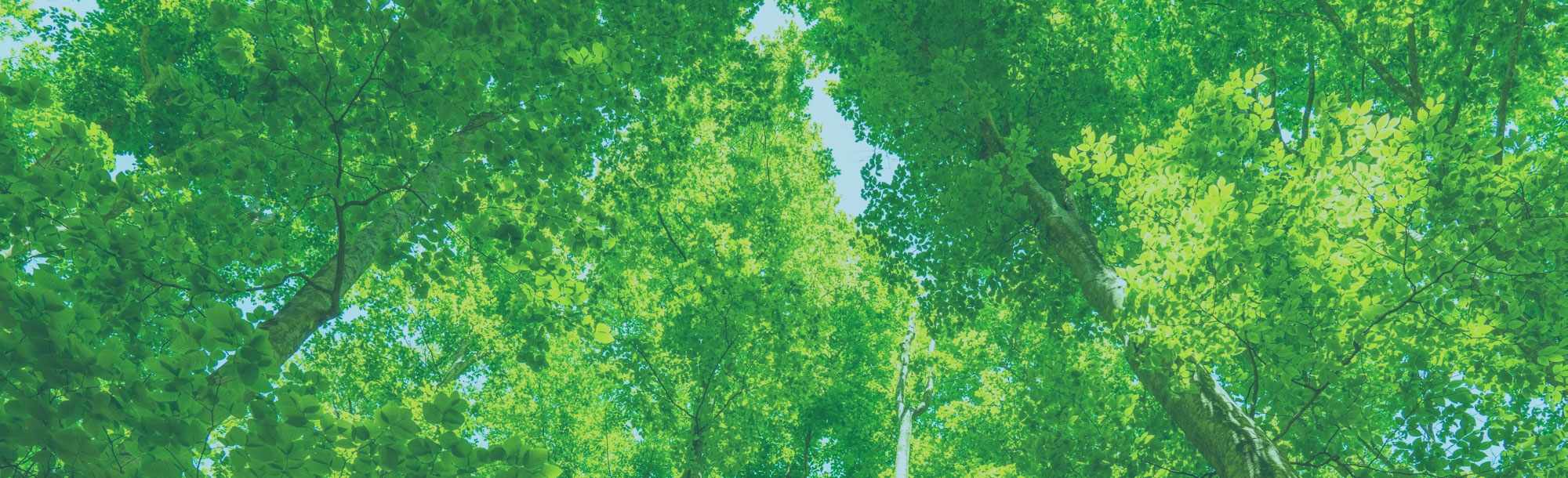 公益財団法人 いなぎグリーンウェルネス財団