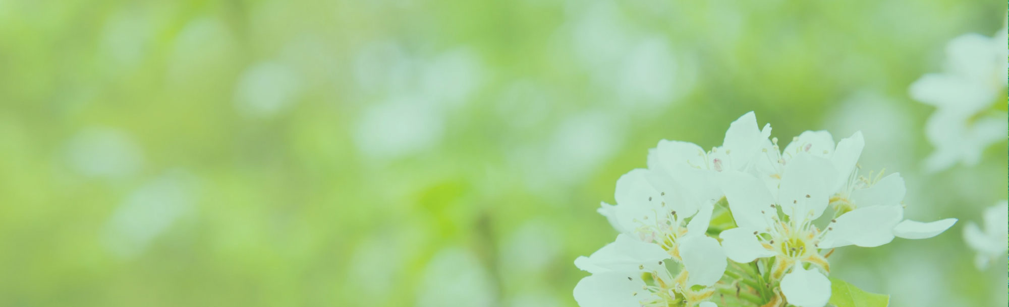 公益財団法人 いなぎグリーンウェルネス財団